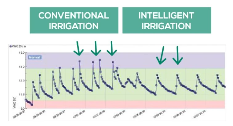 Chart comparing soil moisture under conventional irrigation and intelligent irrigation
